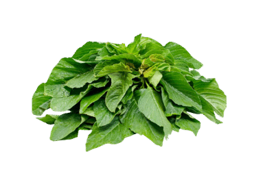 A1Basket-amarnath-leaves