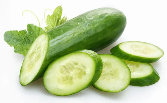 English Cucumber - 9Kg - Image 3