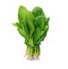 Spinach ( Palak) - 12 bunches