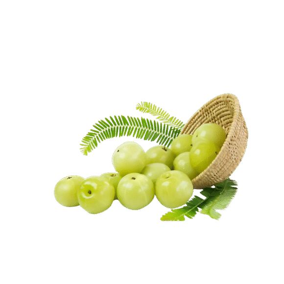 Amla - 5Kg - Image 2