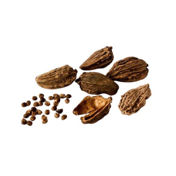 Black Cardamom (Kali Ilayachi) - Image 2