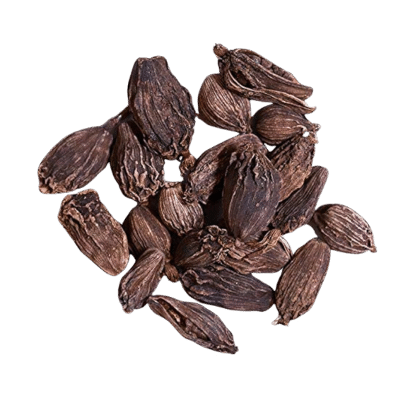 Black Cardamom (Kali Ilayachi)