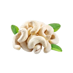 Cashew Nuts (kaju)