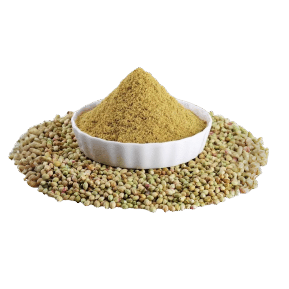 Coriander powder