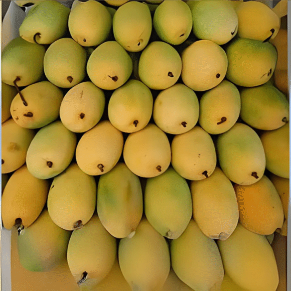Kesar Mango 12 Pieces Box - Image 4