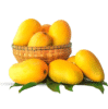 Kesar Mango 12 Pieces Box