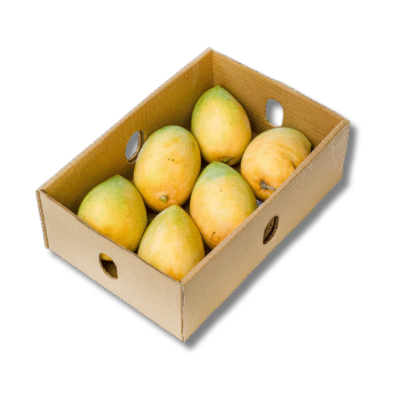 Kesar Mango 12 Pieces Box - Image 2