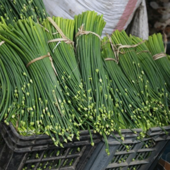 Onion Flower - 5kg - Image 4