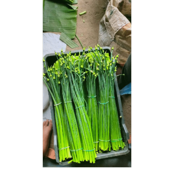 Onion Flower - 5kg - Image 3