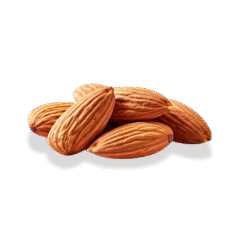 Premium Jumbo Almond
