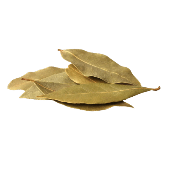 Tej Patta