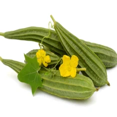 Ridge Gourd- 5Kg