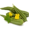 Ridge Gourd- 5Kg
