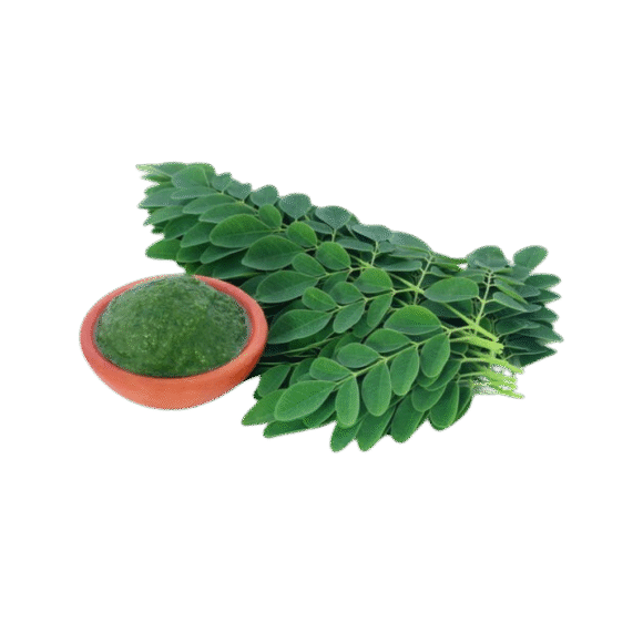 Drumstick Leaves - 3kg - Image 3
