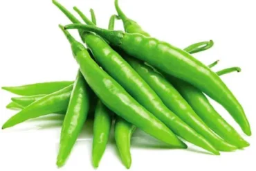 Fresh Green Raw Chillies 5Kg pack for export and wholesale