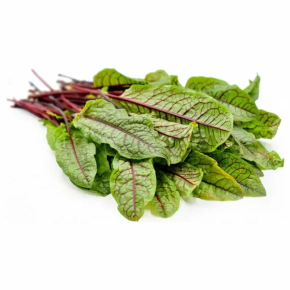 Sorrel/Mangold Leaves - 12 bunches