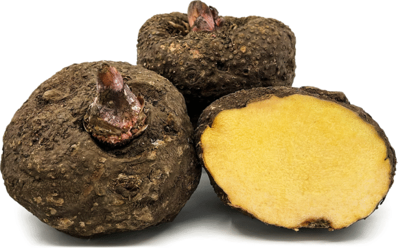 Elephant Yam (Suran) - 10Kg
