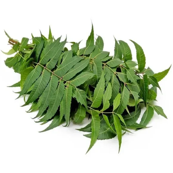 Neem Leaves - 1kg
