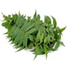 Neem Leaves - 1kg